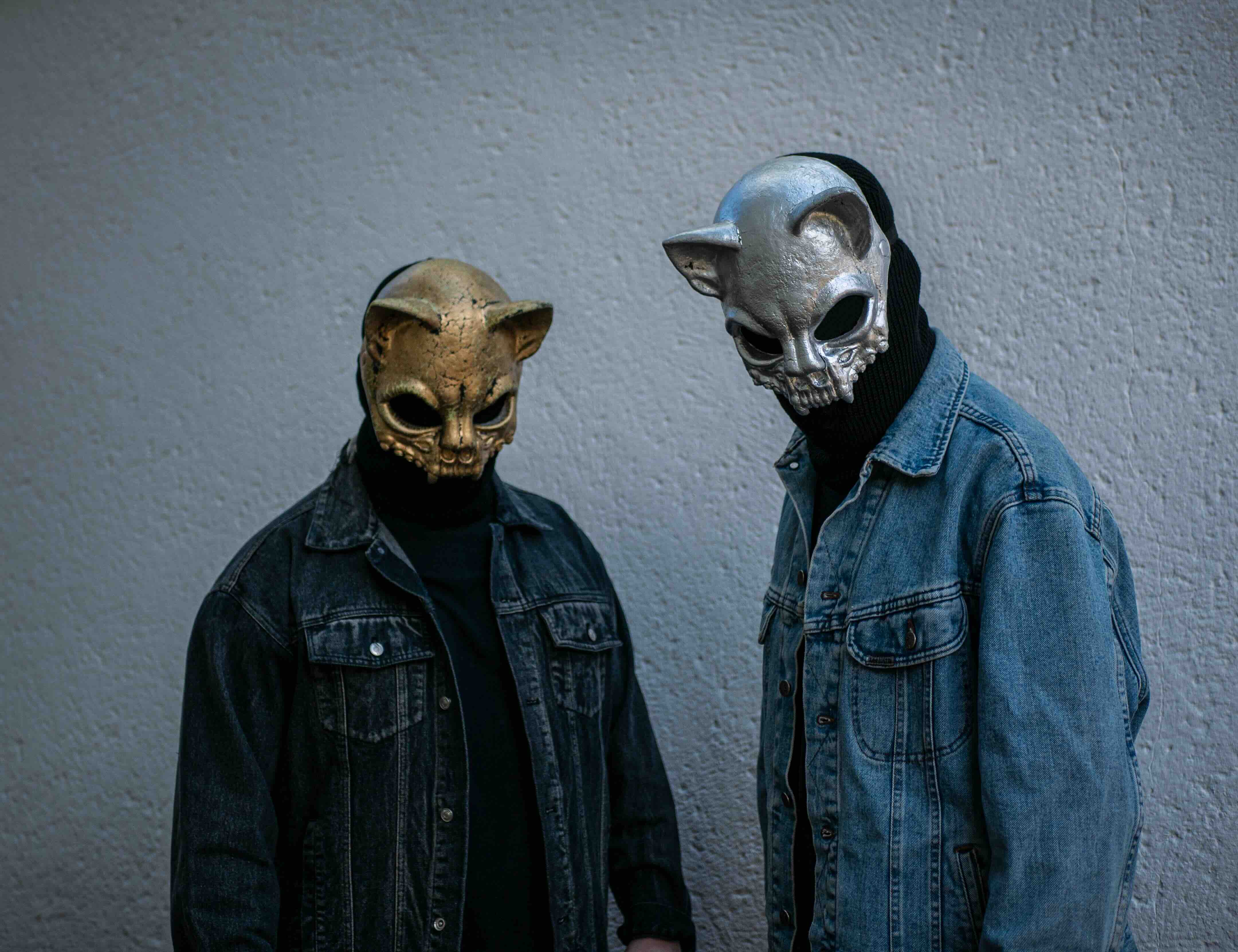 Zombie Cats